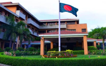 দিল্লি হাইকমিশনে ভিসা ও কনসুলার কার্যক্রম সাময়িকভাবে স্থগিত