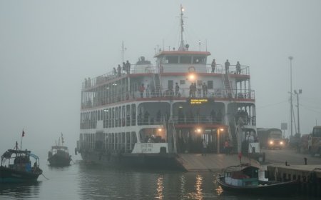 কুয়াশা বৃদ্ধি পাওয়ায় দৌলতদিয়া-পাটুরিয়ায় ফেরি বন্ধ রাখা হয়েছে